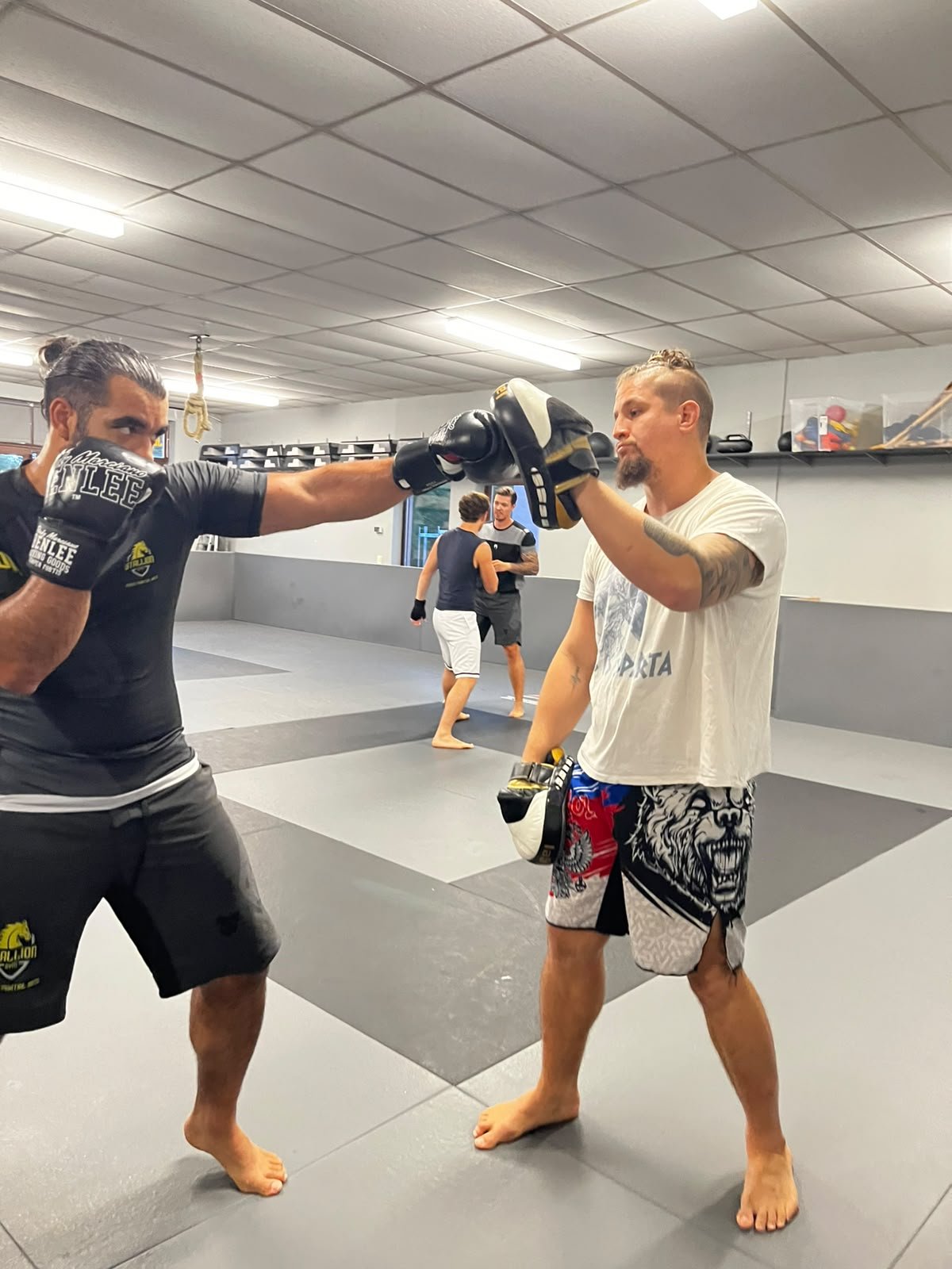 Pratzentraining beim Boxen im STALLION GYM Herrenberg