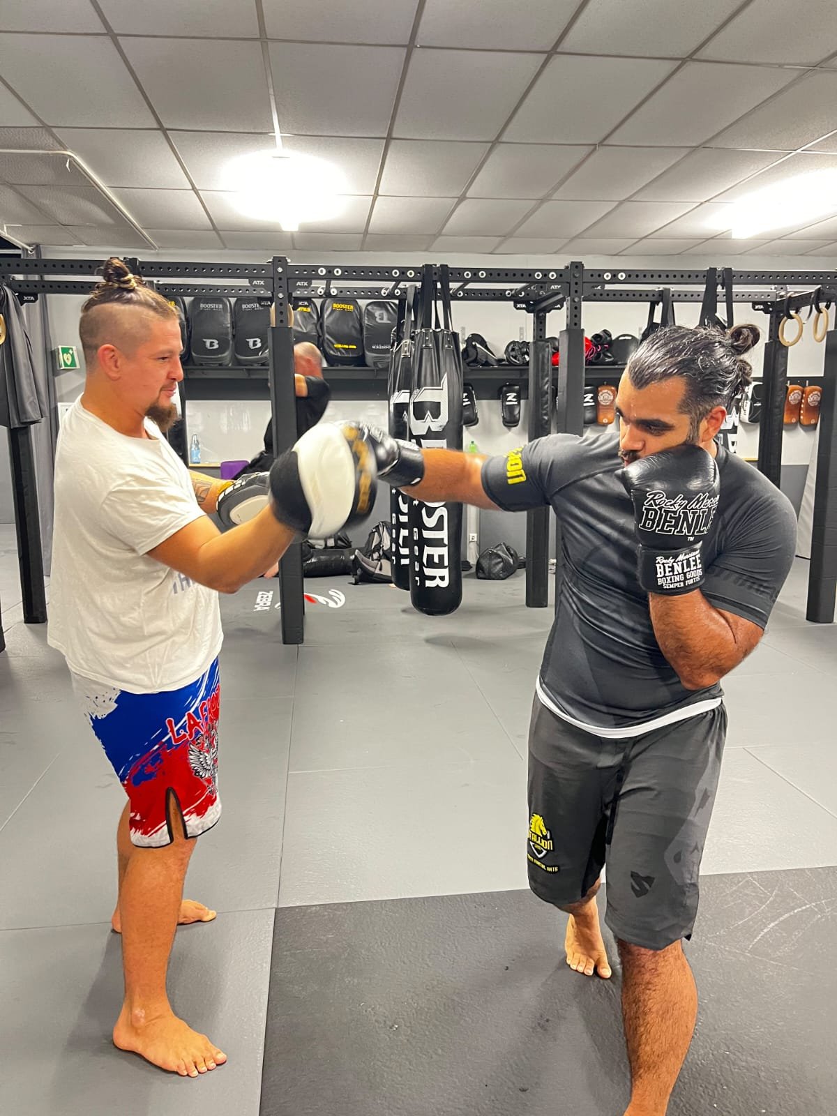 Boxer schlägt einen Haken auf die Pratze im STALLION GYM Herrenberg
